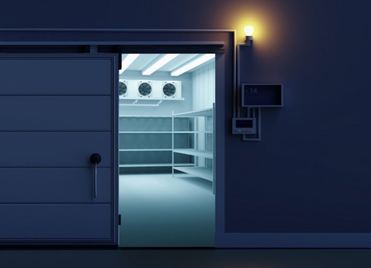 Lentatek Cevresel Testler